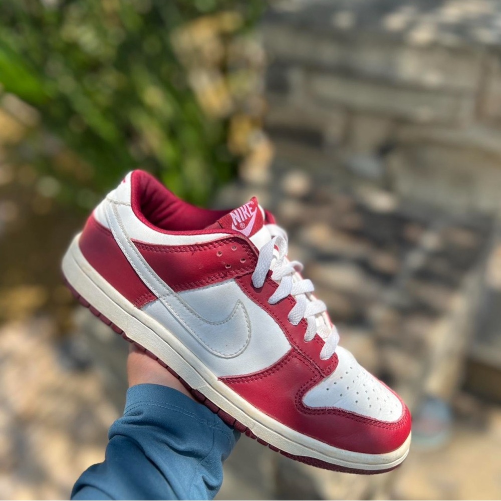 Vintage Nike dunks
